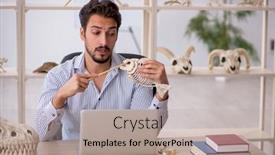  Presentation with lab animals - Presentation theme consisting of young-male-paleontologist-examining-ancient background and a  colored foreground