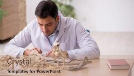  Presentation with lab animals - PPT theme enhanced with young-male-paleontologist-examining-ancient background and a coral colored foreground