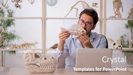  Presentation with lab animals - Presentation design consisting of young-male-paleontologist-examining-ancient background and a coral colored foreground