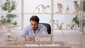  Presentation with lab animals - PPT theme enhanced with young-male-paleontologist-examining-ancient background and a coral colored foreground