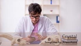  Presentation with lab animals - Slides featuring young-male-paleontologist-examining-ancient background and a coral colored foreground