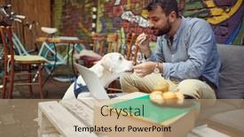  Presentation with free dog - Theme having young-male-student-is-feeding background and a coral colored foreground