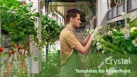  Presentation with vertical farm - Beautiful PPT layouts featuring young-male-worker-of-vertical backdrop and a tawny brown colored foreground