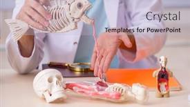  Presentation with fish - Cool new presentation theme with young-male-zoologist-examining-fish backdrop and a light blue colored foreground