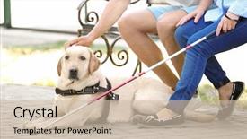  Presentation with man sitting bench - Presentation theme having young man and blind woman background and a soft green colored foreground