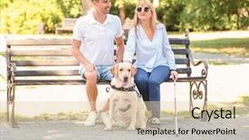  Presentation with man sitting bench - Audience pleasing slides consisting of young man and blind woman backdrop and a lemonade colored foreground