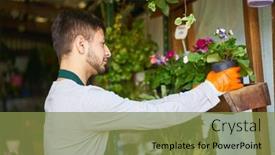  Presentation with flower - Presentation with young-man-as-a-florist background and a  colored foreground