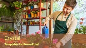  Presentation with nursery plant - 