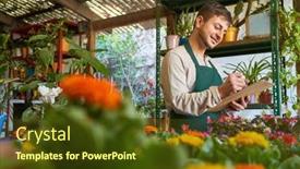  Presentation with inventory - Slides featuring young-man-as-florist background and a tawny brown colored foreground