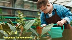  Presentation with apron - PPT theme enhanced with young-man-employee-with-down background and a tawny brown colored foreground