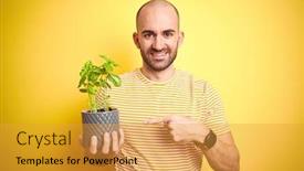  Presentation with finger - Beautiful slide set featuring young man holding basil plat plot over isolated yellow background very happy pointing with hand and finger backdrop and a gold colored foreground