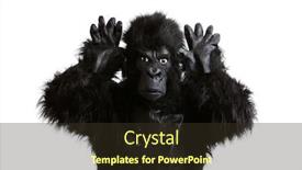  Presentation with costume - Beautiful PPT theme featuring young-man-in-a-gorilla backdrop and a tawny brown colored foreground