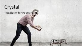  Presentation with lead - PPT theme with young man in casual holding small zebra on lead background and a white colored foreground