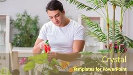  Presentation with home gardening - Cool new presentation with young-man-in-gardening-concept backdrop and a coral colored foreground