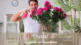  Presentation with home gardening - Audience pleasing theme consisting of young-man-in-gardening-concept backdrop and a coral colored foreground