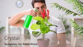  Presentation with home gardening - Beautiful presentation theme featuring young-man-in-gardening-concept backdrop and a coral colored foreground