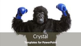  Presentation with costume - Slide set having young-man-in-gorilla-costume background and a tawny brown colored foreground