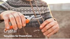  Presentation with spring tree - Beautiful slides featuring young-man-is-cutting backdrop and a tawny brown colored foreground