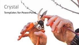  Presentation with spring tree - Theme with young-man-is-cutting background and a white colored foreground