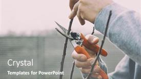  Presentation with spring tree - Colorful slide set enhanced with young-man-is-cutting backdrop and a gray colored foreground