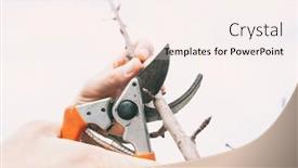  Presentation with spring tree - Cool new slide deck with young-man-is-cutting backdrop and a sky blue colored foreground