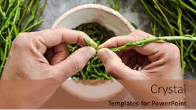  Presentation with edible food packaging - Slides featuring young-man-is-cutting background and a coral colored foreground