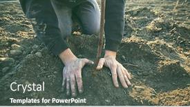  Presentation with tree planting - Colorful PPT layouts enhanced with young-man-is-planting backdrop and a dark gray colored foreground