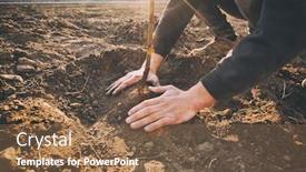  Presentation with tree planting - Beautiful theme featuring young-man-is-planting backdrop and a tawny brown colored foreground