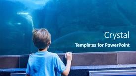  Presentation with tank - Slide deck featuring young man looking at shark in a tank at the aquarium background and a ocean colored foreground