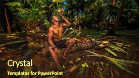  Presentation with coconut palm tree - Slide deck with young man on vacations sitting a palm tree and rinking coconut background and a wine colored foreground
