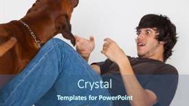  Presentation with dog park dogs plays - Slide set with young-man-playing background and a  colored foreground