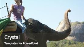  Presentation with elephant - Slide set featuring young man riding on elephant background and a dark gray colored foreground