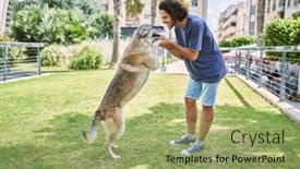  Presentation with dog park - 