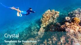  Presentation with reef octopus underwater - Slide deck featuring free diving at coral reef background and a  colored foreground