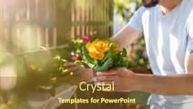  Presentation with plants - Presentation design featuring young-man-taking-care background and a tawny brown colored foreground