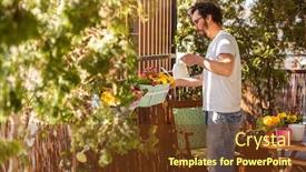  Presentation with plants - Cool new PPT theme with young-man-taking-care backdrop and a tawny brown colored foreground