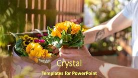  Presentation with plants - Slide set enhanced with young-man-taking-care background and a tawny brown colored foreground