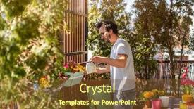  Presentation with plants - Amazing presentation design having young-man-taking-care backdrop and a tawny brown colored foreground