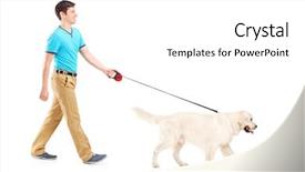  Presentation with walking - Audience pleasing PPT theme consisting of olives branch on natural olive oil soap isolated on white background backdrop and a mint green colored foreground