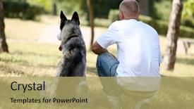  Presentation with dog park - Amazing slides having young man with beautiful huskies dog in park backdrop and a yellow colored foreground