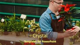  Presentation with apron - 