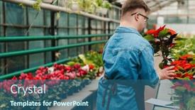  Presentation with apron - 