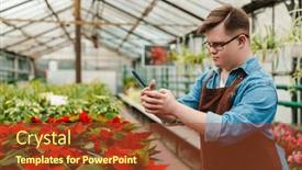  Presentation with greenhouse - Slide deck having young-man-with-down-syndrome background and a tawny brown colored foreground