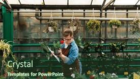  Presentation with writing notes - Slides having young-man-with-down-syndrome background and a tawny brown colored foreground