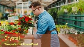  Presentation with greenhouse - 