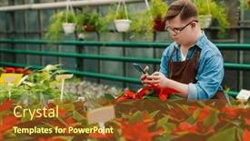  Presentation with greenhouse - PPT layouts featuring young-man-with-down-syndrome background and a tawny brown colored foreground