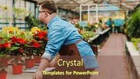  Presentation with greenhouse - PPT theme consisting of young-man-with-down-syndrome background and a tawny brown colored foreground