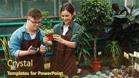  Presentation with greenhouse - Presentation theme featuring young-man-with-down-syndrome background and a wine colored foreground