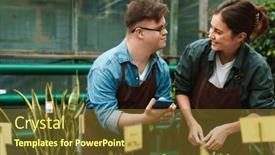  Presentation with greenhouse - Slide deck enhanced with young-man-with-down-syndrome background and a tawny brown colored foreground
