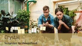  Presentation with greenhouse - PPT theme with young-man-with-down-syndrome background and a yellow colored foreground